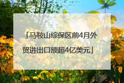 马鞍山综保区前4月外贸进出口额超4亿美元