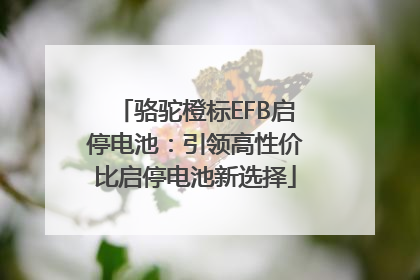 骆驼橙标EFB启停电池：引领高性价比启停电池新选择