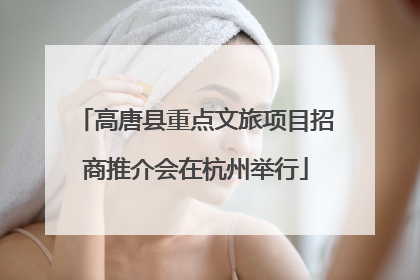 高唐县重点文旅项目招商推介会在杭州举行