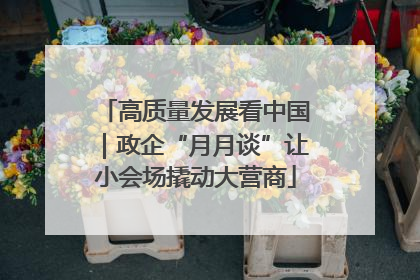 高质量发展看中国｜政企“月月谈”让小会场撬动大营商