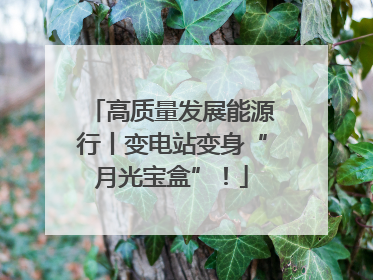 高质量发展能源行丨变电站变身“月光宝盒”！