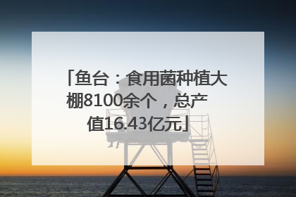 鱼台：食用菌种植大棚8100余个，总产值16.43亿元