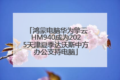 鸿蒙电脑华为擎云 HM940成为2025天津夏季达沃斯中方办公支持电脑