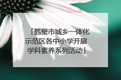 鹤壁市城乡一体化示范区各中小学开展学科素养系列活动