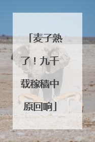 麦子熟了！九千载稼穑中原回响