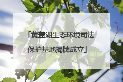 黄盖湖生态环境司法保护基地揭牌成立