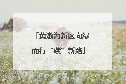 黄渤海新区向绿而行“碳”新路