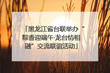 黑龙江省台联举办“粽香迎端午·龙台情相融”交流联谊活动