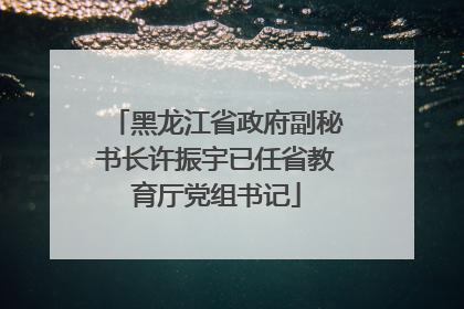 黑龙江省政府副秘书长许振宇已任省教育厅党组书记
