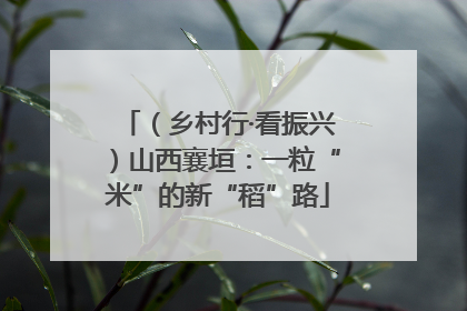 （乡村行·看振兴）山西襄垣：一粒“米”的新“稻”路