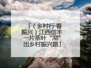 （乡村行·看振兴）江西信丰一片茶叶“沏”出乡村振兴路