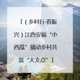 （乡村行·看振兴）江西安福“小西瓜”撬动乡村共富“大支点”