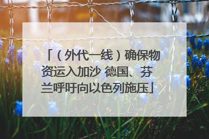 （外代一线）确保物资运入加沙 德国、芬兰呼吁向以色列施压