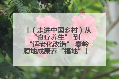（走进中国乡村）从 “食疗养生” 到 “适老化改造” 秦岭腹地成康养“福地”