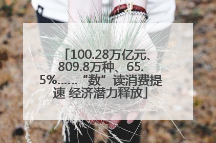 100.28万亿元、809.8万种、65.5%……“数”读消费提速 经济潜力释放