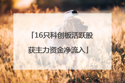 16只科创板活跃股获主力资金净流入