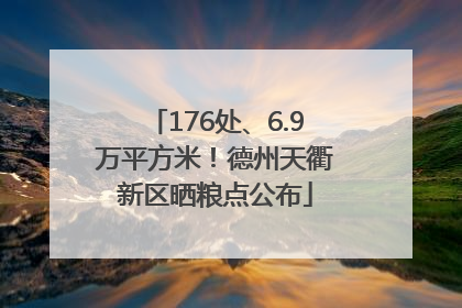 176处、6.9万平方米！德州天衢新区晒粮点公布