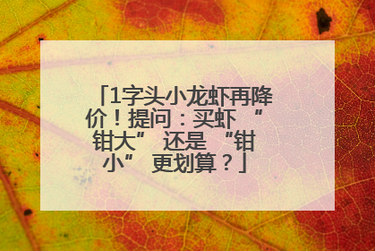 1字头小龙虾再降价！提问：买虾 “钳大” 还是 “钳小” 更划算？