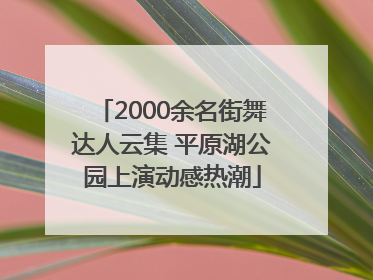 2000余名街舞达人云集 平原湖公园上演动感热潮