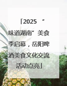 2025 “味道湖南”美食季启幕，岳阳啤酒美食文化交流活动点亮