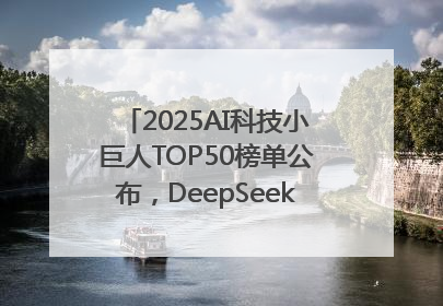 2025AI科技小巨人TOP50榜单公布，DeepSeek、宇树科技、蘑菇车联等企业荣誉上榜