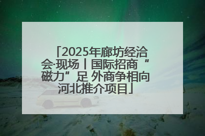 2025年廊坊经洽会·现场丨国际招商“磁力”足 外商争相向河北推介项目