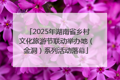 2025年湖南省乡村文化旅游节联动举办地（金洞）系列活动落幕