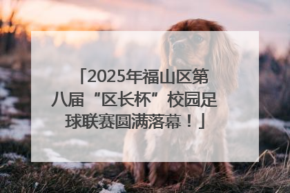 2025年福山区第八届“区长杯”校园足球联赛圆满落幕！
