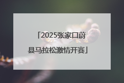 2025张家口蔚县马拉松激情开赛