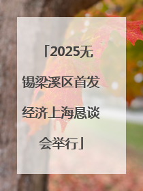 2025无锡梁溪区首发经济上海恳谈会举行