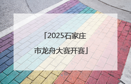 2025石家庄市龙舟大赛开赛