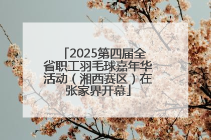 2025第四届全省职工羽毛球嘉年华活动（湘西赛区）在张家界开幕
