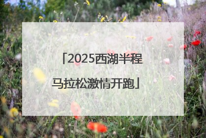 2025西湖半程马拉松激情开跑