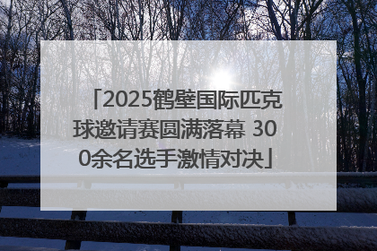 2025鹤壁国际匹克球邀请赛圆满落幕 300余名选手激情对决