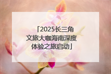 2025长三角文旅大咖海南深度体验之旅启动
