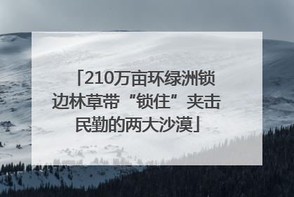 210万亩环绿洲锁边林草带“锁住”夹击民勤的两大沙漠