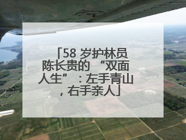 58 岁护林员陈长贵的 “双面人生”：左手青山，右手亲人