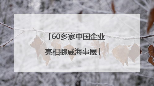 60多家中国企业亮相挪威海事展