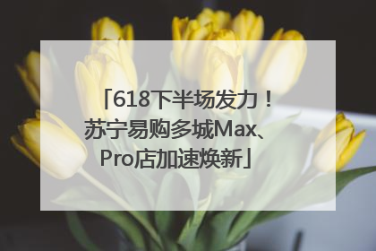 618下半场发力！苏宁易购多城Max、Pro店加速焕新