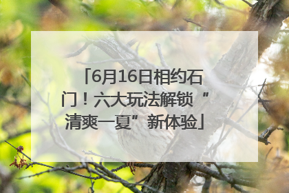 6月16日相约石门！六大玩法解锁“清爽一夏”新体验