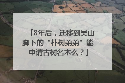 8年后，迁移到吴山脚下的“朴树弟弟”能申请古树名木么？