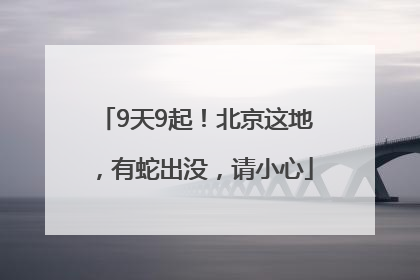 9天9起！北京这地，有蛇出没，请小心
