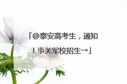 @泰安高考生，通知！事关军校招生→