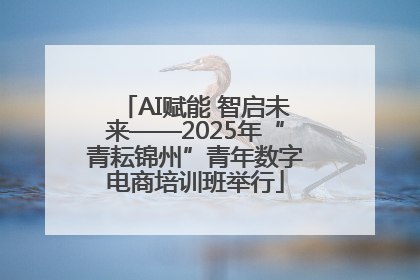 AI赋能 智启未来——2025年“青耘锦州”青年数字电商培训班举行