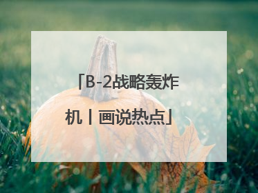 B-2战略轰炸机丨画说热点