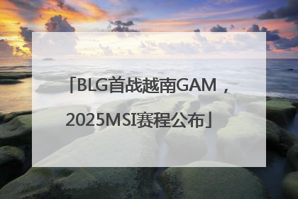 BLG首战越南GAM，2025MSI赛程公布