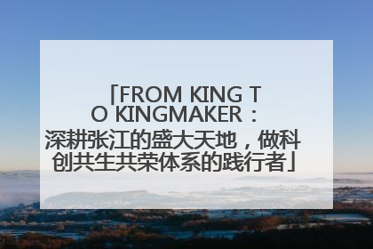 FROM KING TO KINGMAKER：深耕张江的盛大天地，做科创共生共荣体系的践行者