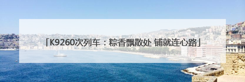 K9260次列车：粽香飘散处 铺就连心路