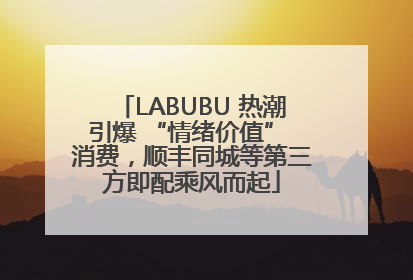 LABUBU 热潮引爆 “情绪价值” 消费，顺丰同城等第三方即配乘风而起
