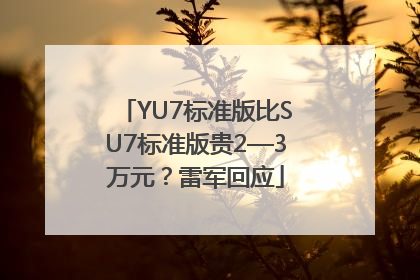 YU7标准版比SU7标准版贵2—3万元？雷军回应